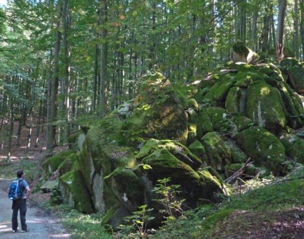 wandern odenwald draisine wandern im odenwald draisine