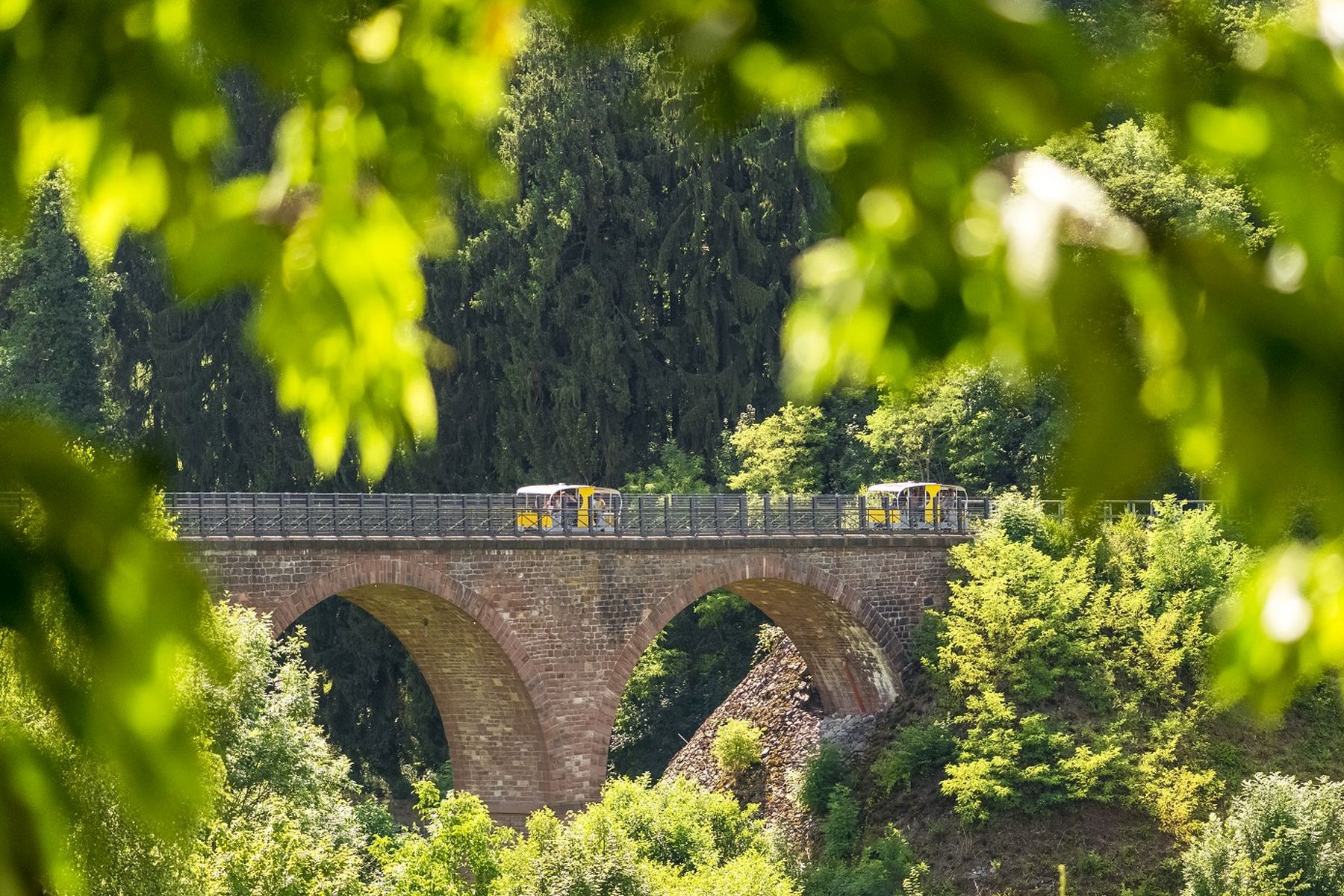 s1800_crop1200_24