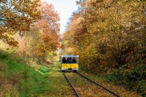 Herbst Herbst