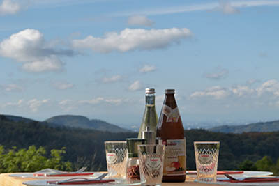 Gasthaus Bergblick