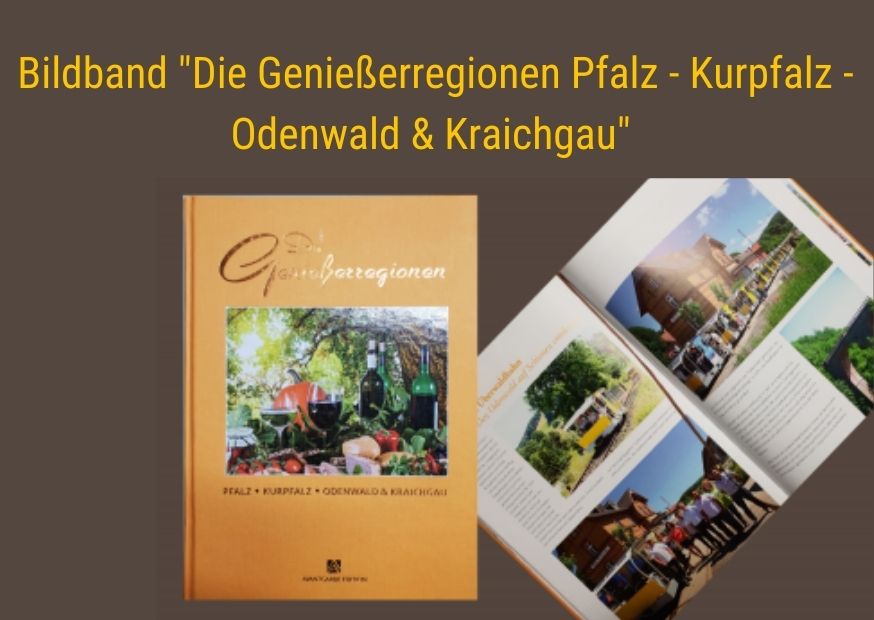 Webseiten Fotos Solardraisine (3)
